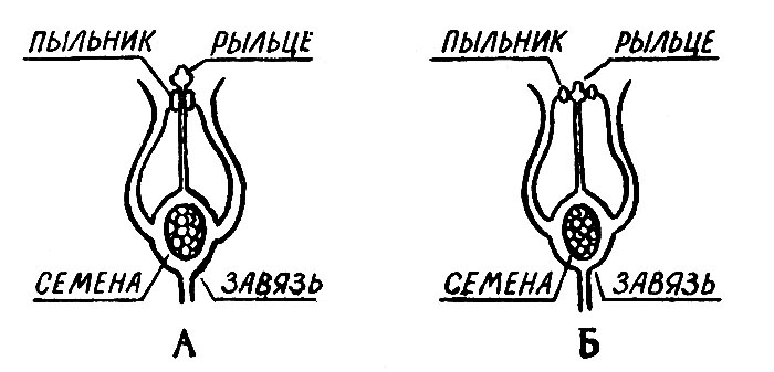   .      ,  ,     .        ,   ,  ,    ( ). 