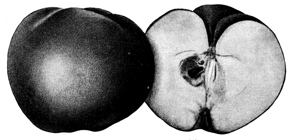 44. ����� �������� ��������� 