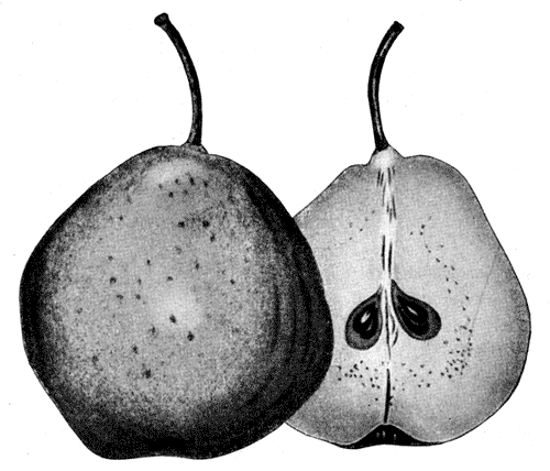 105. �������� ����� ������� ������������
