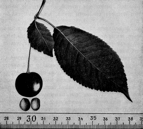 158. ����� �����