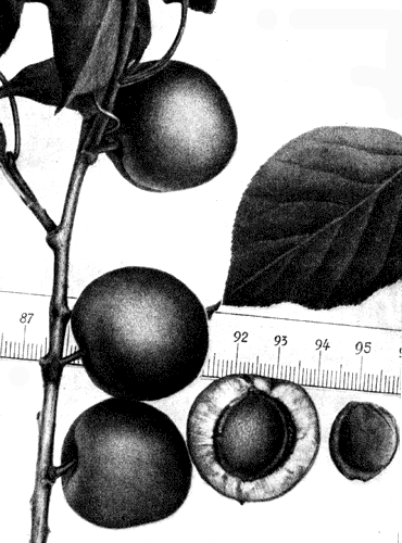 213. ������� � 241