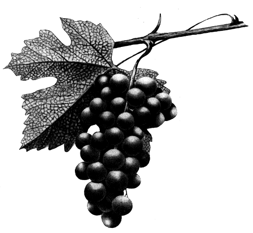 232. �������� ���������