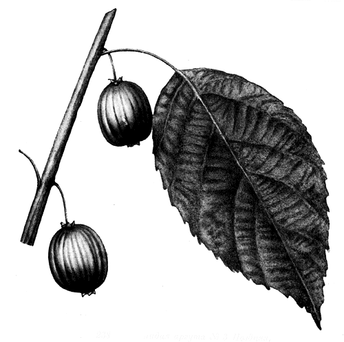238. ��������� ������ � 3 �������
