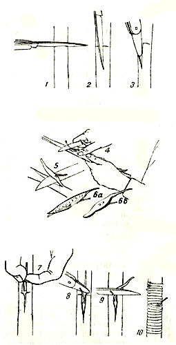  . 3.    : 1 -     ; 2 -     ; 3 -    ; 4 -   ; 5 -  ; 6 -    (   ); 6 -   ; 7 -    - ; 8 -       ; 9 -    ; 10 -   
