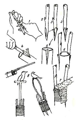 . 10.  : 1 -    ; 2 -     ; 3 -        ; 4 -    ; 5 -    ;  -    ; 7 -      ; 8 -       