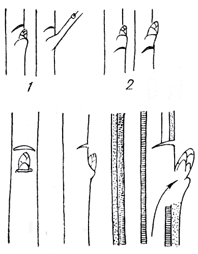 . 66.  : 1 -     ; 2 -   