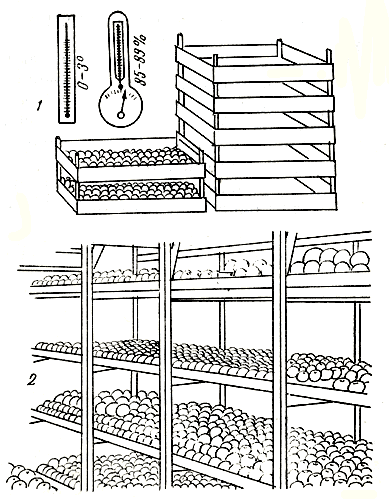 . 138.  : 1 -   (); 2 -  