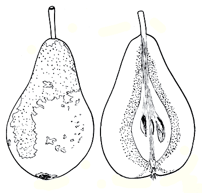192. 