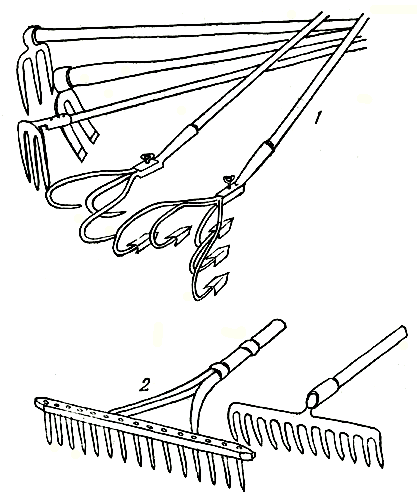 . 45.    : 1 - ; 2 -  