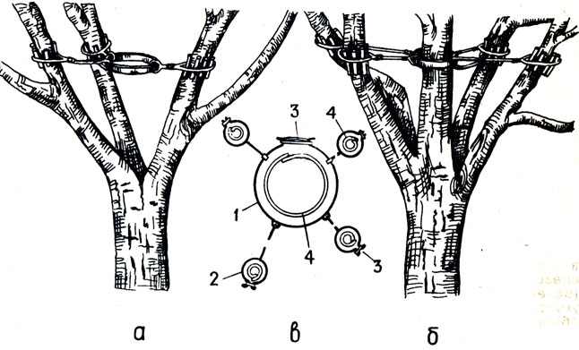 . 6.    :  -  ; 6 -  ;  -         15-25  (1)     10-15  (2),      5-6 ; 3 - ; 4 -   ( . . )