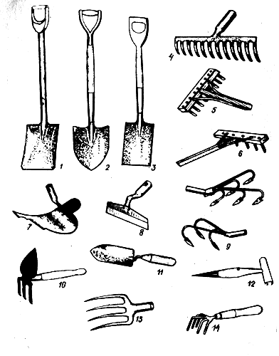 . 1.  : 1 -  ; 2 -     ; 3 -     ; 4 -  ; 5 -  ; 6  ; 7 -  -; 8    - 9 -- ( ); 10 -   ; 11 -  -; 12 - -; 13 - ; 14 - -