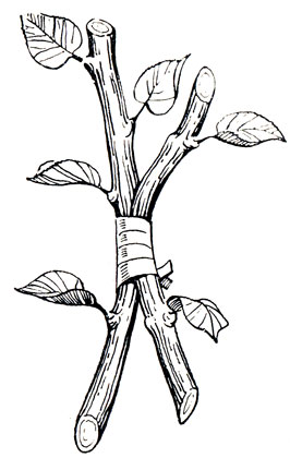  7.           