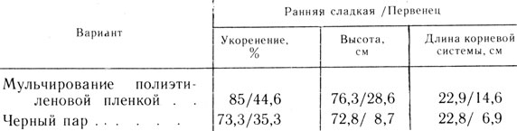 Чем опылять красную смородину. 000019. Чем опылять красную смородину фото. Чем опылять красную смородину-000019. картинка Чем опылять красную смородину. картинка 000019. В ряду плодово-ягодных кустарников рекомендованных к посадке в садах россиян