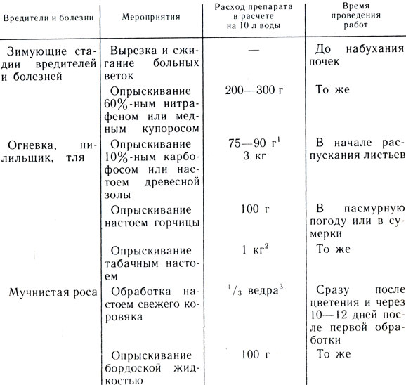  5.       